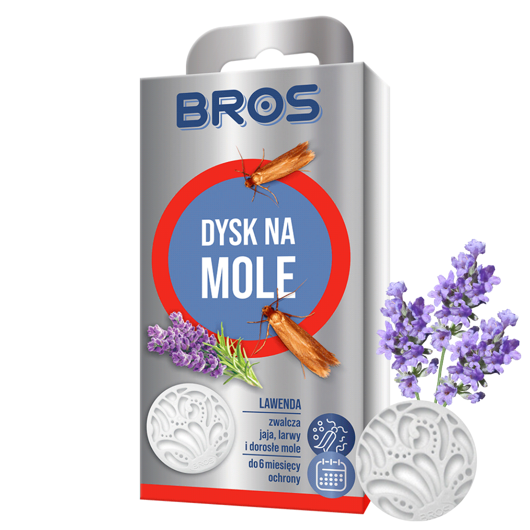 Dysk na mole Lawenda Bros
