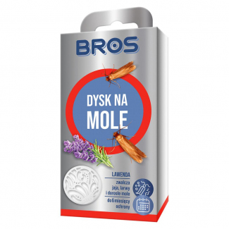 Dysk na mole Lawenda Bros