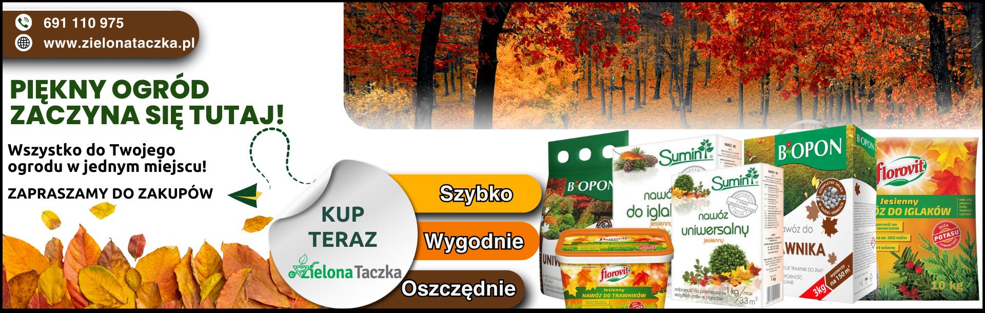 Powitalny jesień