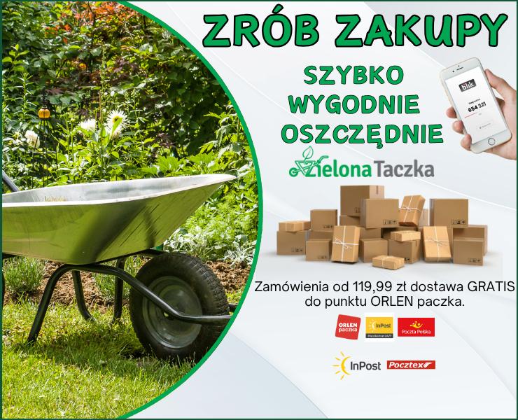 dostawa lipiec 20255 Mobile