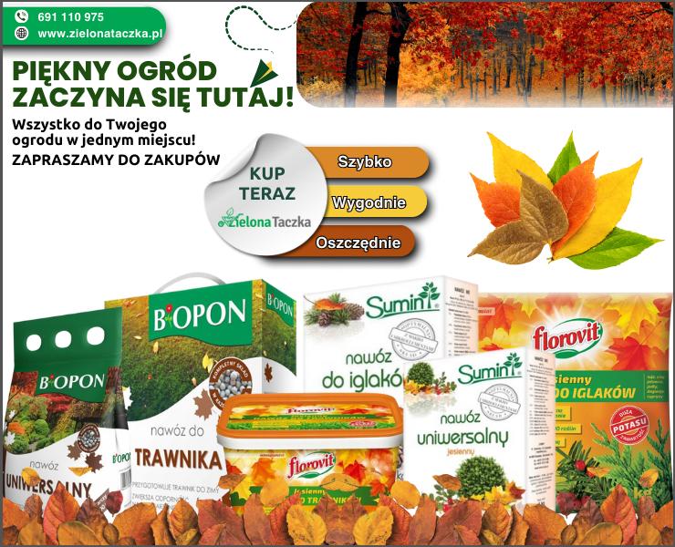jESIEŃ