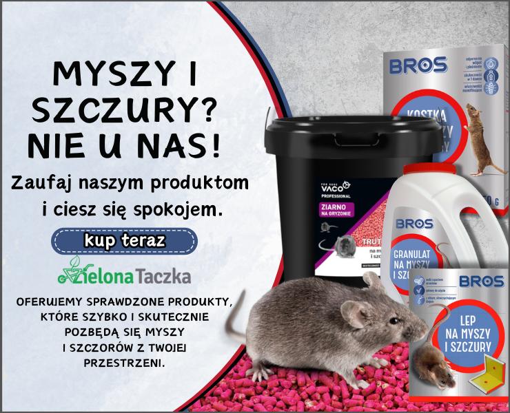 Myszki i szczurki