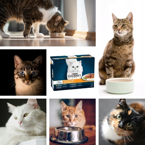 Karma dla kota Gourmet Perle mini fileciki w sosie 1020 g (12 x 85 g)