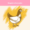 Karma dla kota Purina Cat Chow Kitten bogata w kurczaka 1,5 kg