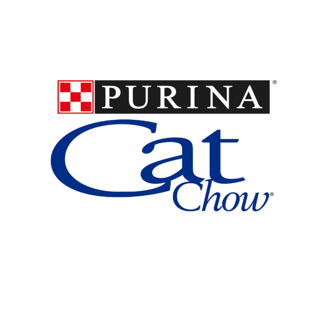Karma dla kota Purina Cat Chow Kitten bogata w Kurczaka 16,5 kg