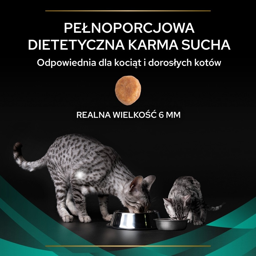 Karma dla kota Purina Pro Plan Veterinary Diets Feline EN St/Ox Gastrointestinal 1,5 kg