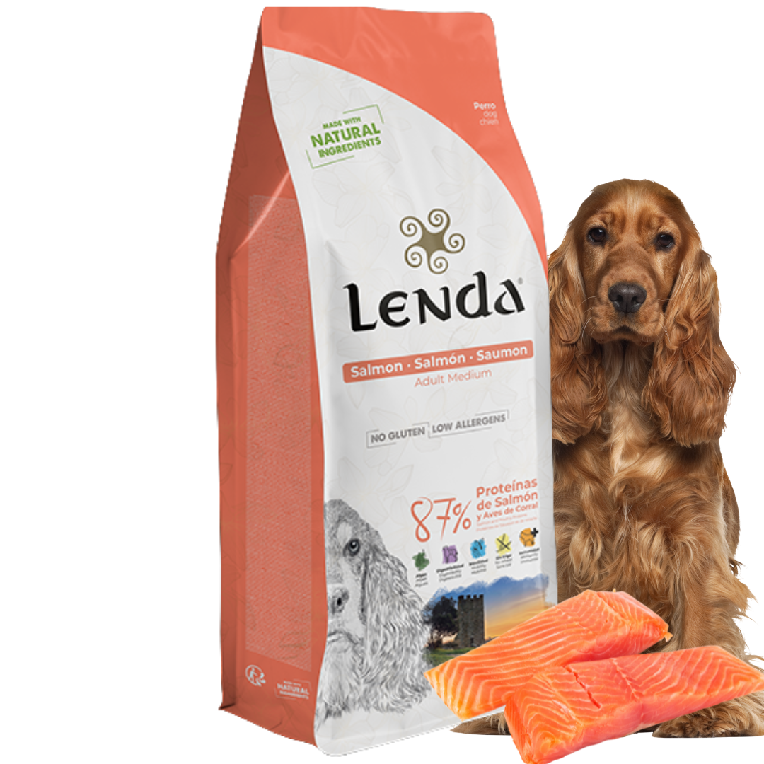 Karma dla psa Lenda z łososiem 12 kg