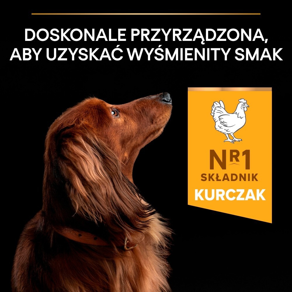 Karma dla psa Purina Pro Plan Everyday Nutrition Small & Mini Adult bogata w kurczaka 7 kg