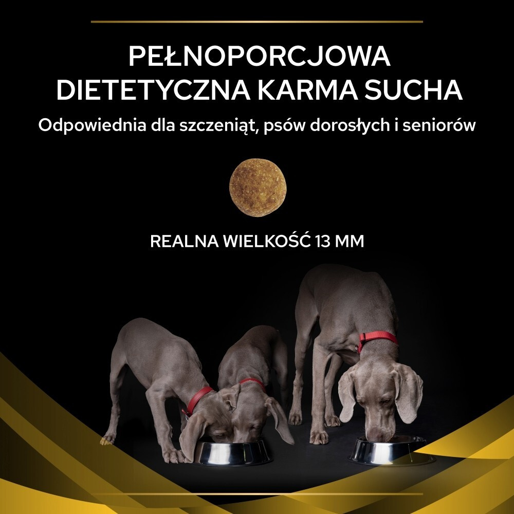 Karma dla psa Purina Pro Plan JM Joint Mobility 12 kg