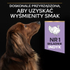 Karma dla psa Purina Pro Plan Sensitive Digestion Small & Mini Adult bogata w indyka 7 kg