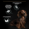 Karma dla psa Purina Pro Plan Sensitive Digestion Small & Mini Adult bogata w indyka 7 kg