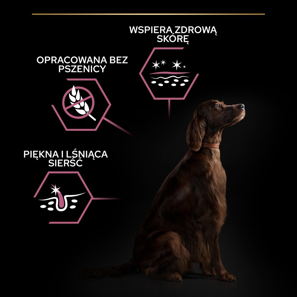 Karma dla psa Purina Pro Plan Sensitive Skin Large Athletic Adult bogata w łososia 14 kg