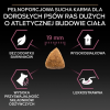 Karma dla psa Purina Pro Plan Sensitive Skin Large Athletic Adult bogata w łososia 14 kg