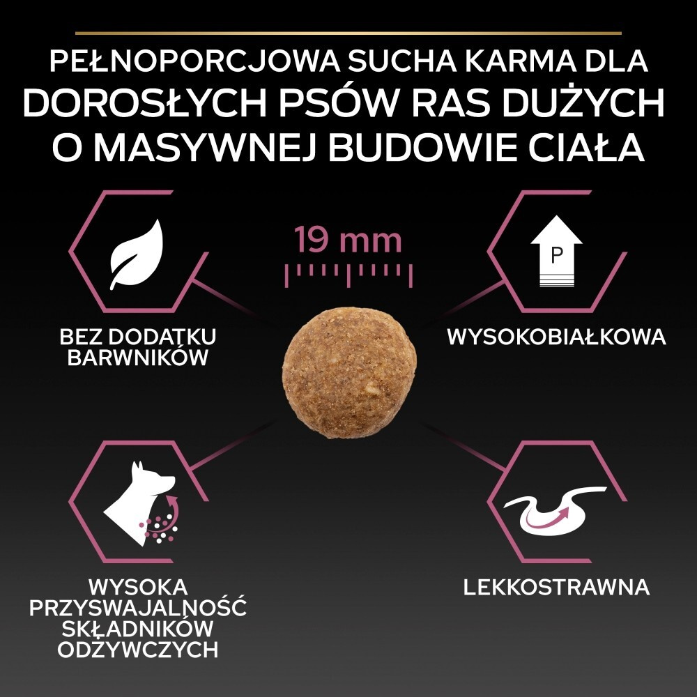 Karma dla psa Purina Pro  Plan Sensitive Skin Large Robust Adult bogata w łososia 14 kg