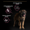 Karma dla psa Purina Pro  Plan Sensitive Skin Large Robust Adult bogata w łososia 14 kg