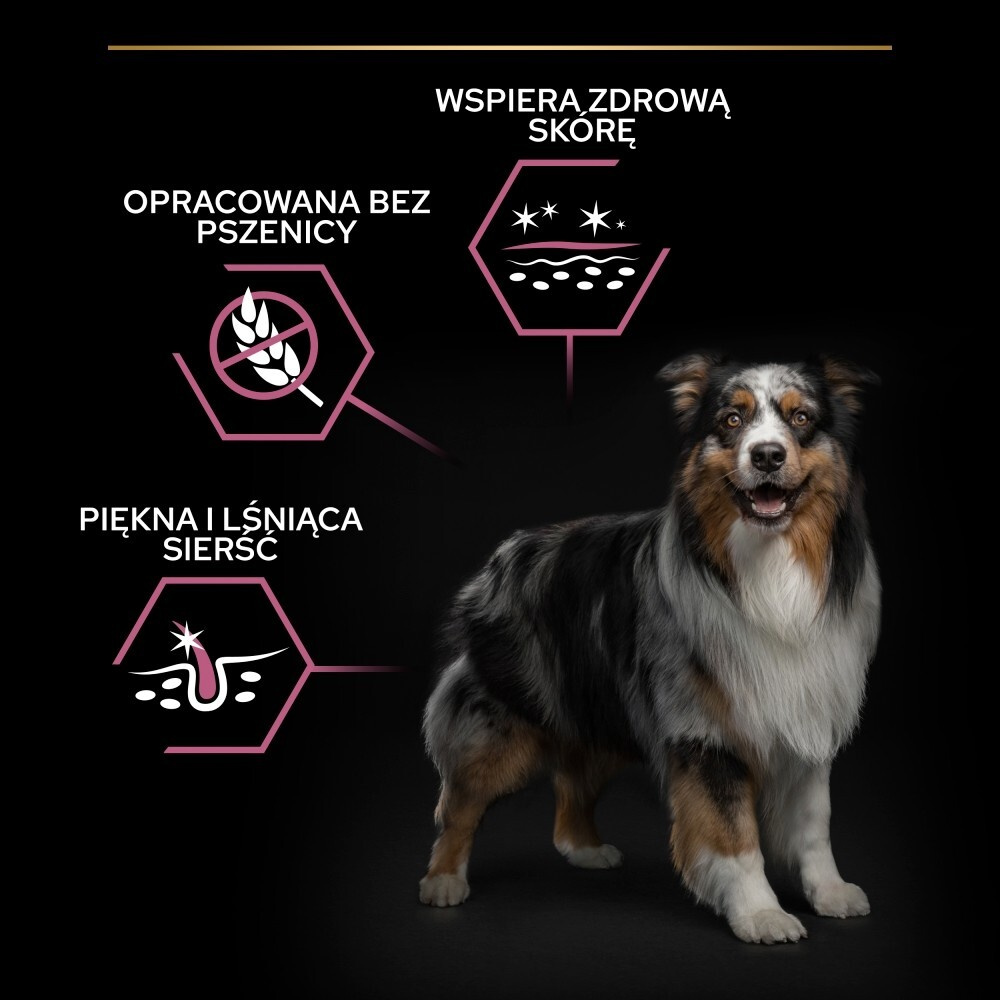 Karma dla psa Purina Pro Plan Sensitive Skin Medium Adult  bogata w łososia 14 kg
