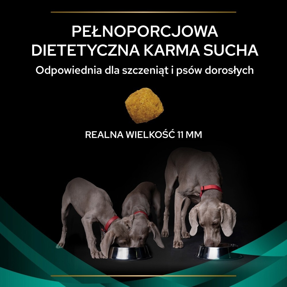 Karma dla psa Purina Pro Plan Veterinary Diets Canine EN Gastrointestinal 5 kg