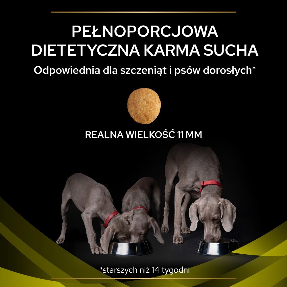 Karma dla psa Purina Pro Plan Veterinary Diets HP Hepatic 12 kg