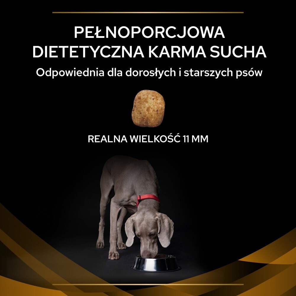 Karma dla psa Purina Pro Plan Veterinary Diets Renal Function 1,5 kg