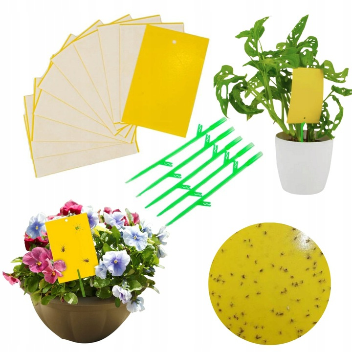 Lep żółty do doniczek Bros (10 sztuk)