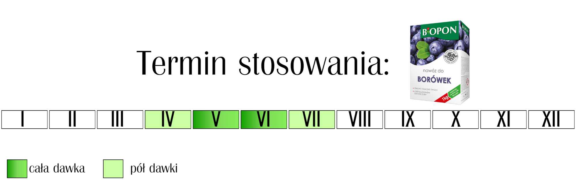 Nawóz do borówek Biopon 1 kg