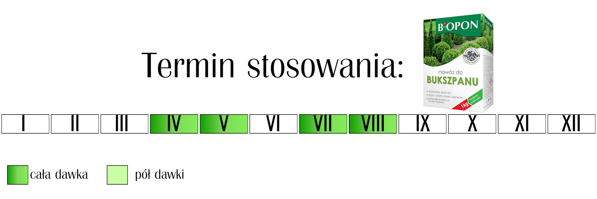 Nawóz do bukszpanu Bopon 1 kg