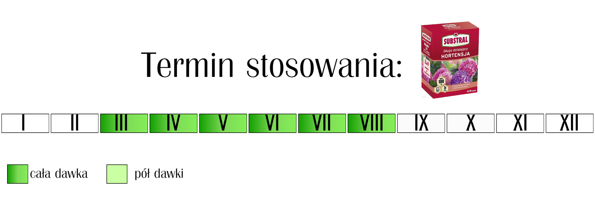 Nawóz do hortensji 2w1 Substral 100 dni 1 kg