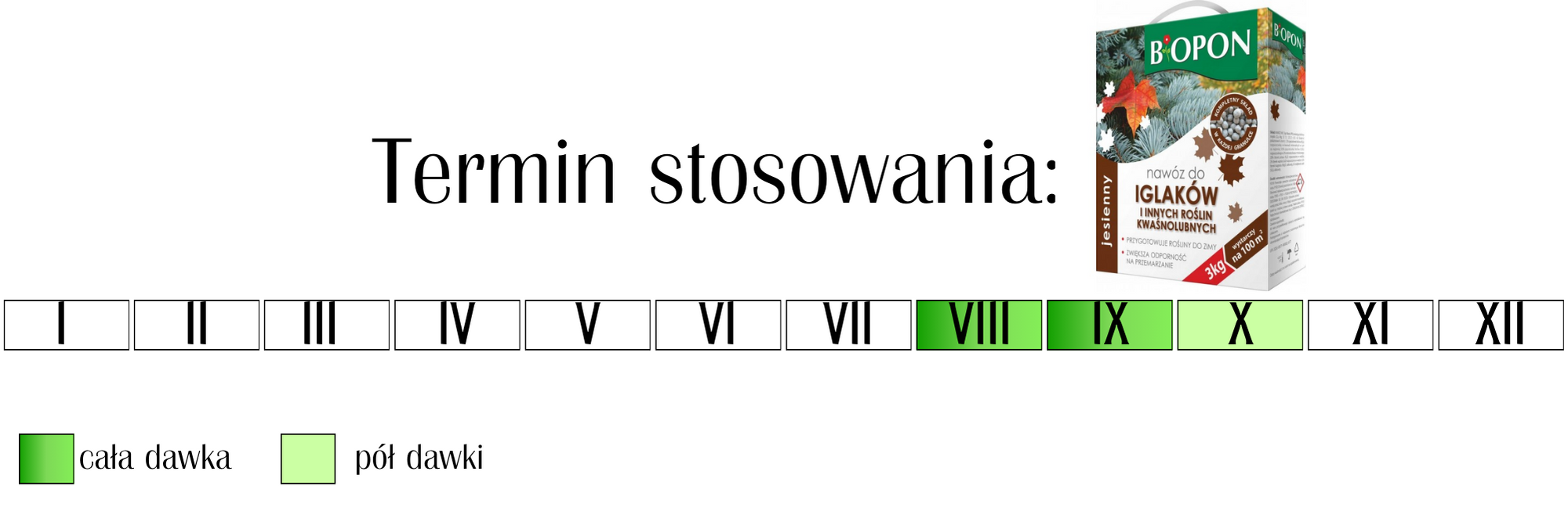 Nawóz do iglaków jesienny Biopon 3 kg