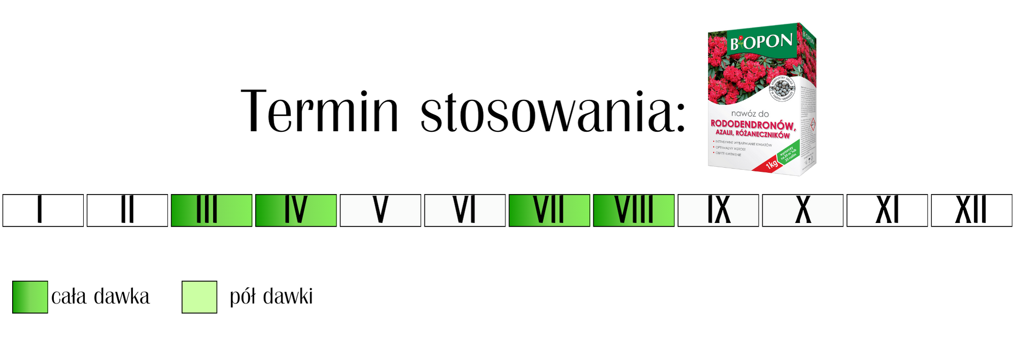 Nawóz do rododendronów, azalii i różaneczaników Biopon 1 kg