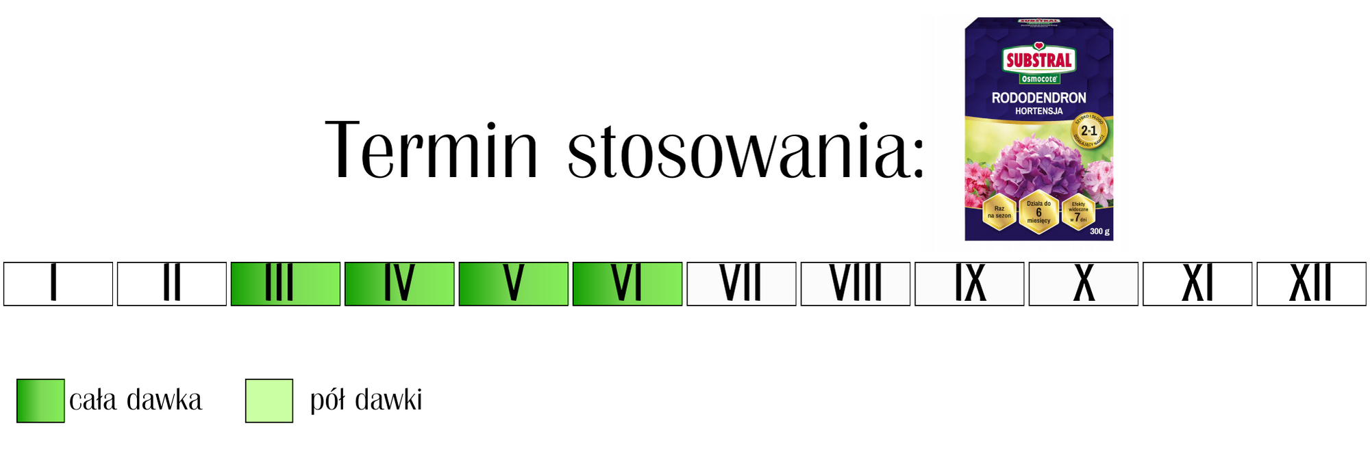 Nawóz do rododendronów i hortensji 2w1 Substral Osmocote 300 g