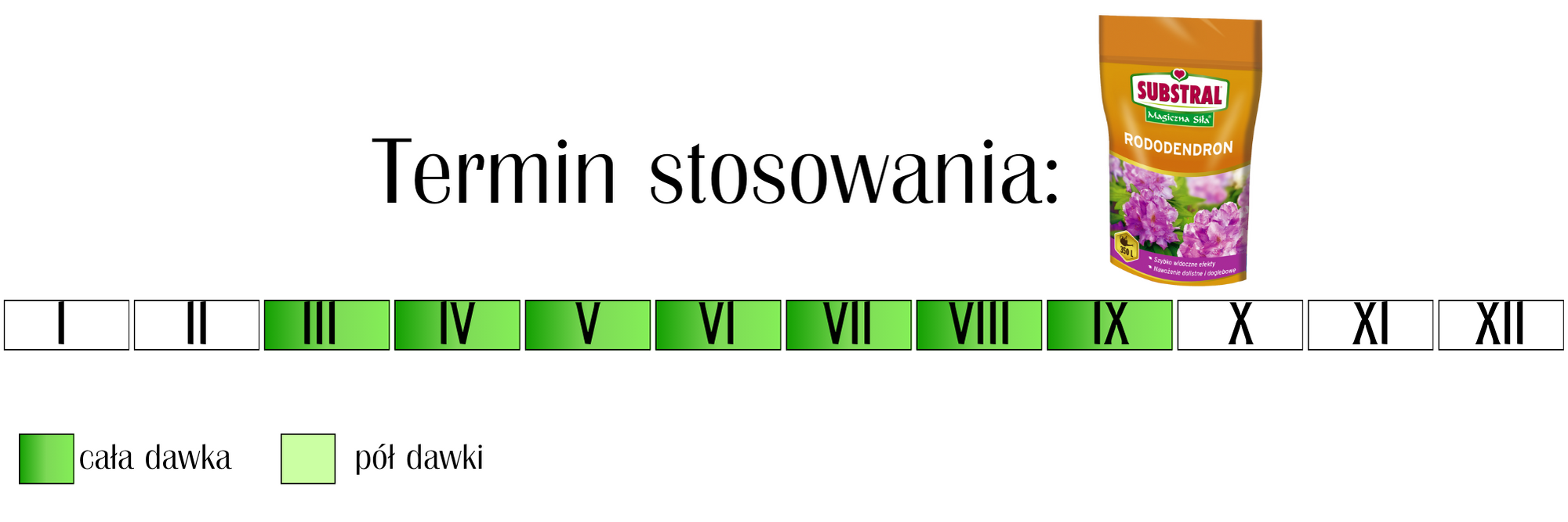 Nawóz do rododendronów Substral Magiczna Siła 350 g