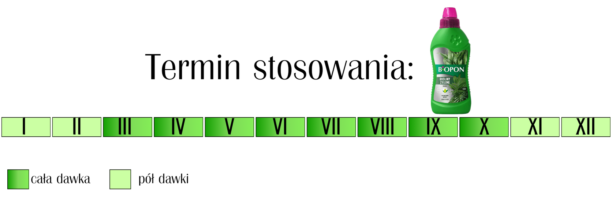 Nawóz do roślin zielonych Biopon 1 l