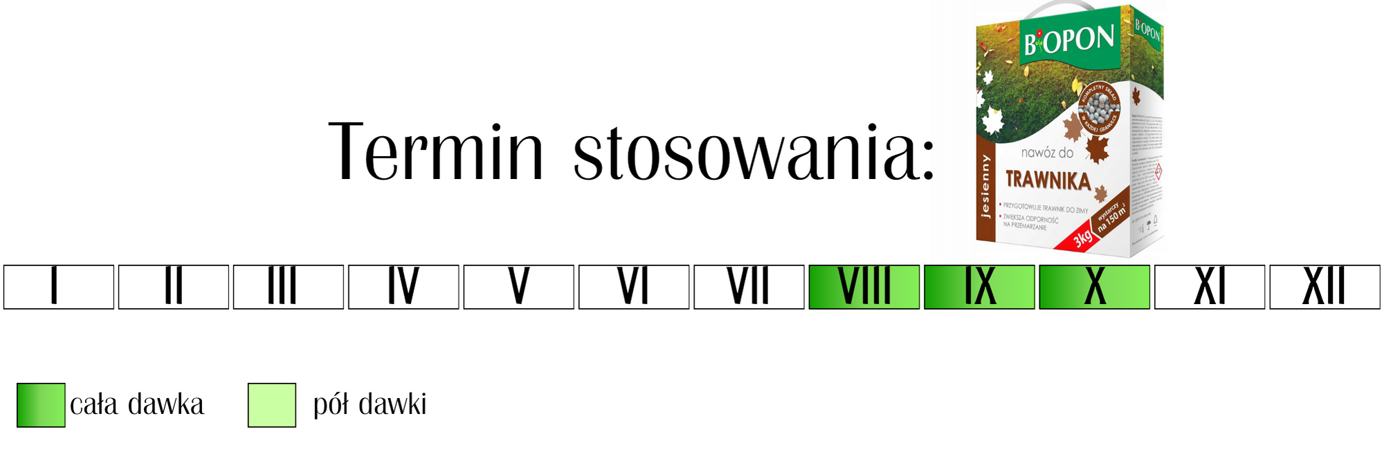 Nawóz do trawnika jesienny Biopon 3 kg