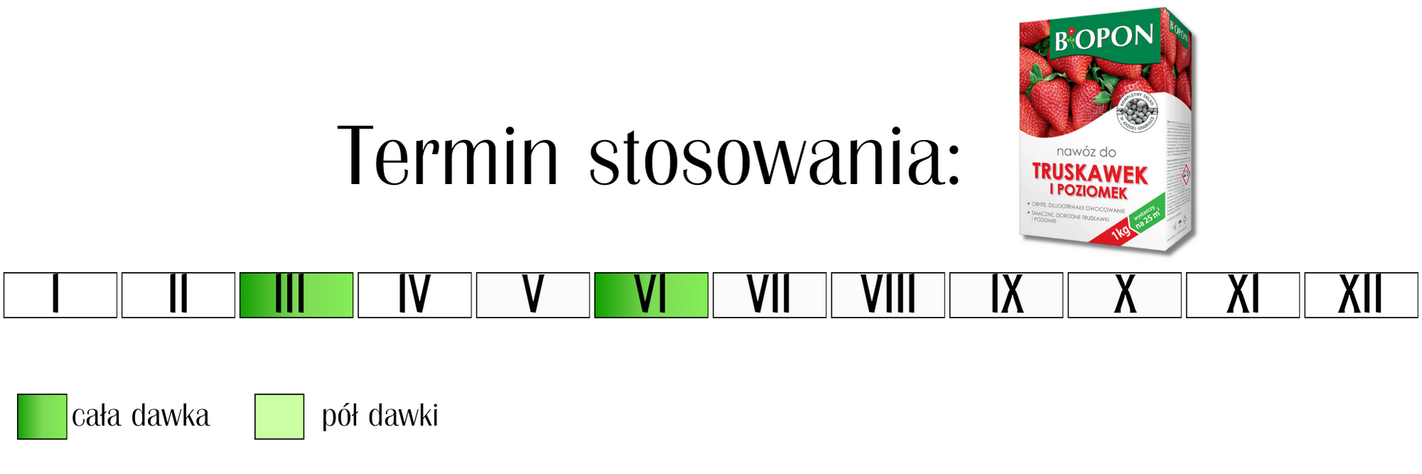 Nawóz do truskawek i poziomek Biopon 1 kg