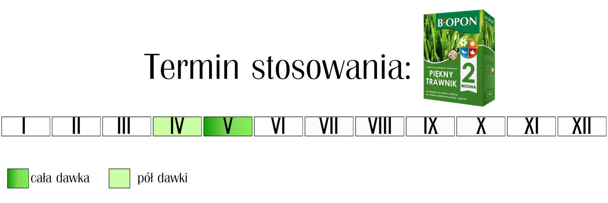 Nawóz piękny trawnik wiosna Biopon 2 kg