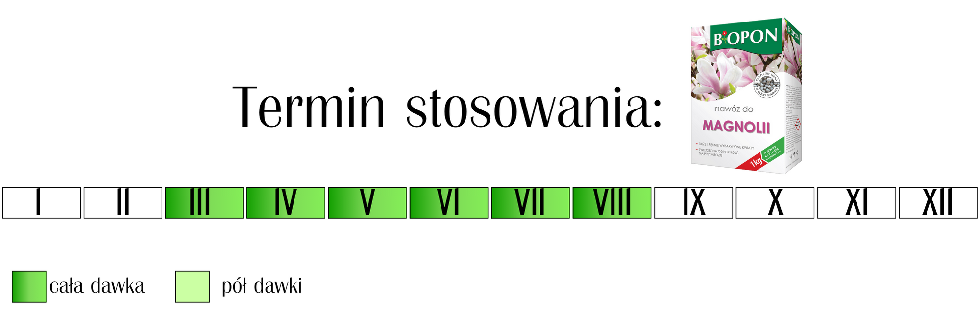 Nawóz w granulkach do magnolii Biopon 1 kg