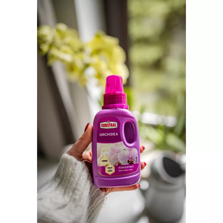 Nawóz w płynie koncentrat Orchidea Substral 250 ml