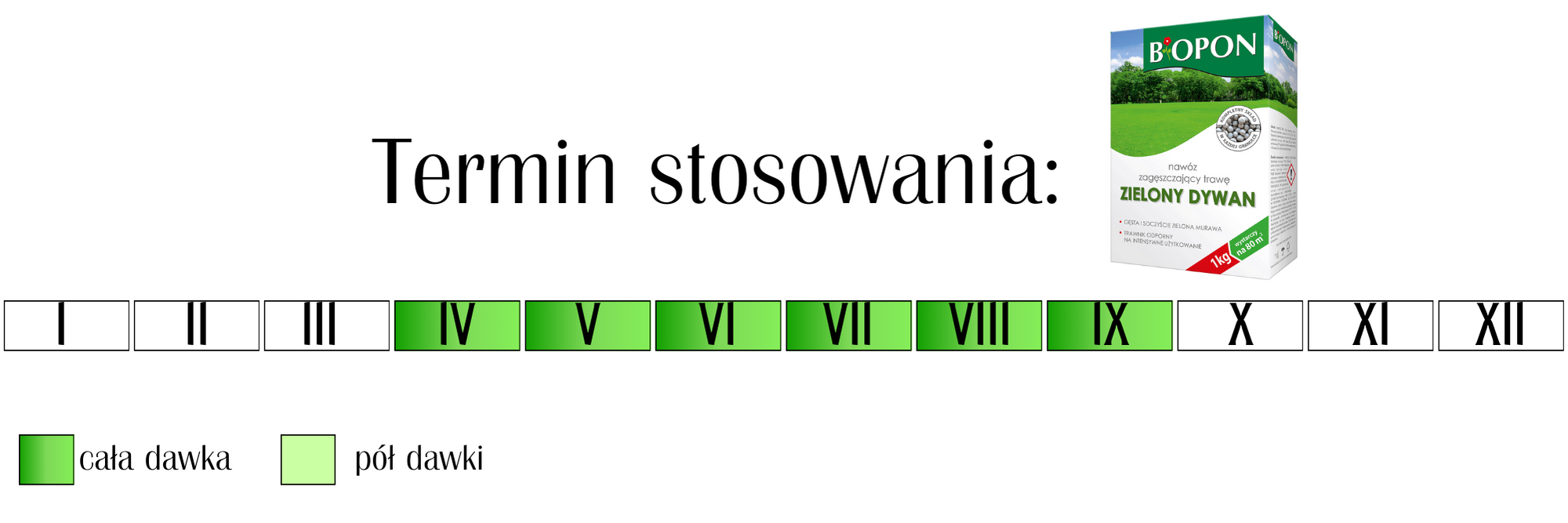 Nawóz zielony dywan zagęszczający trawę Biopon 5 kg