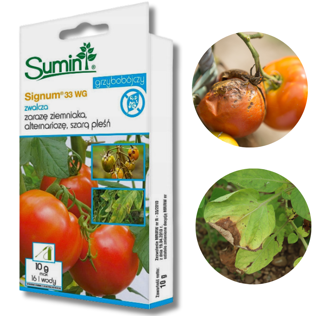 Preparat grzybobójczy Signum 33 WG Sumin 10 g