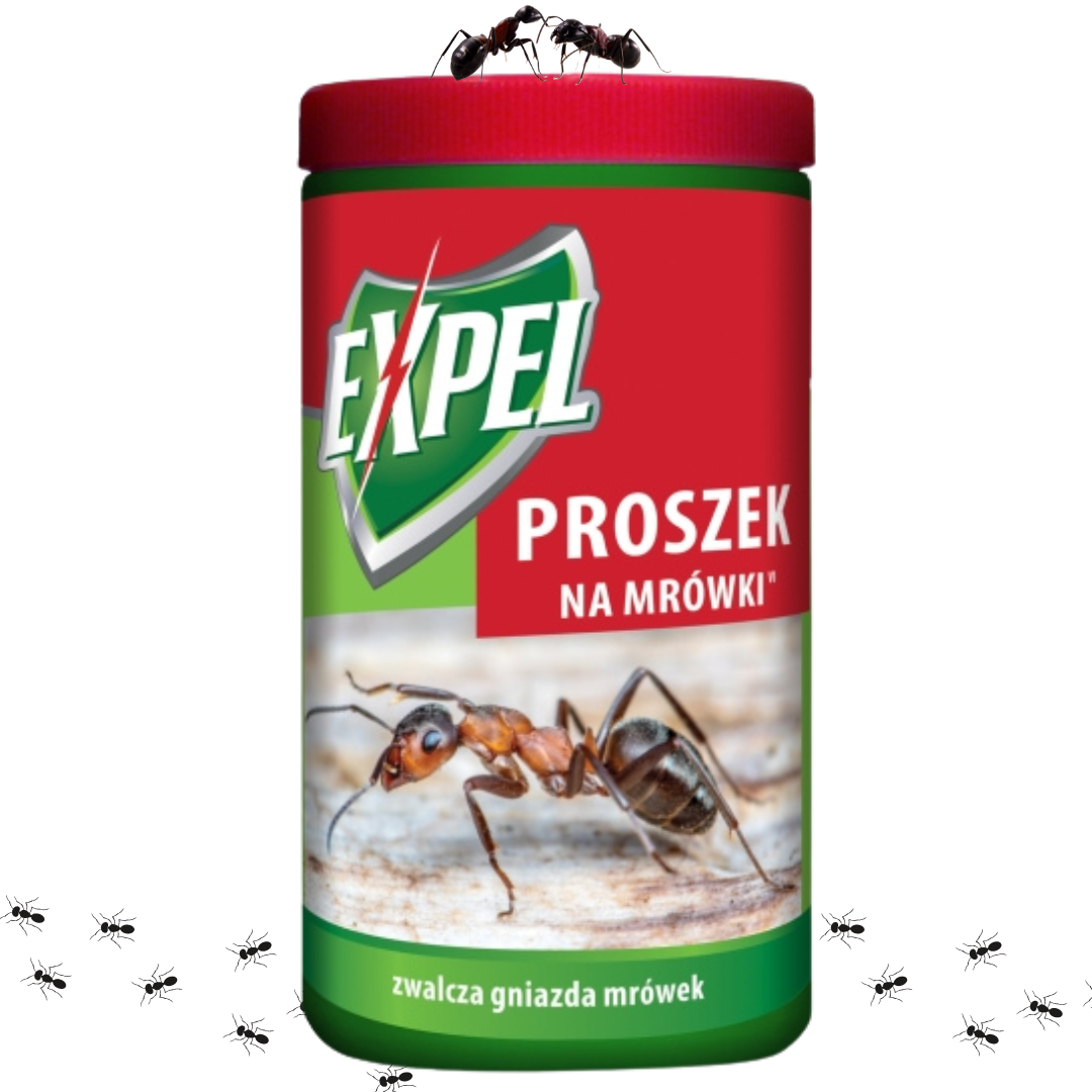 Proszek na mrówki Expel 100 g