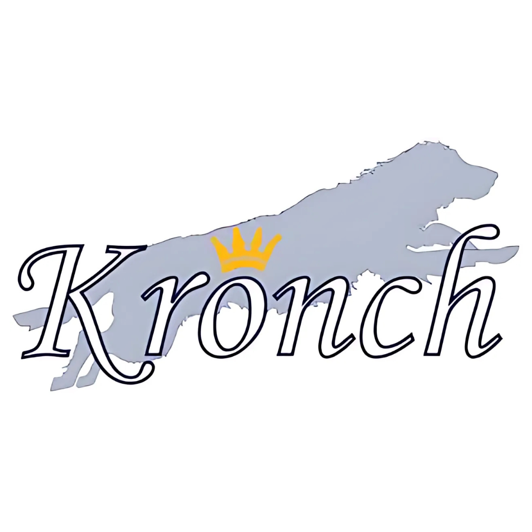 Przysmak dla psa Kronch The Original z łososiem 600 g