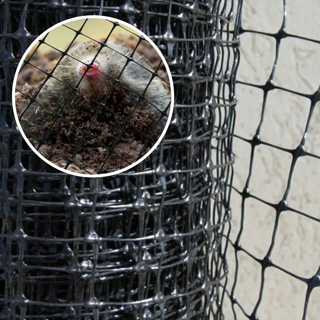 Siatka na krety Gardina 2m x 100 m + 100 szpilek