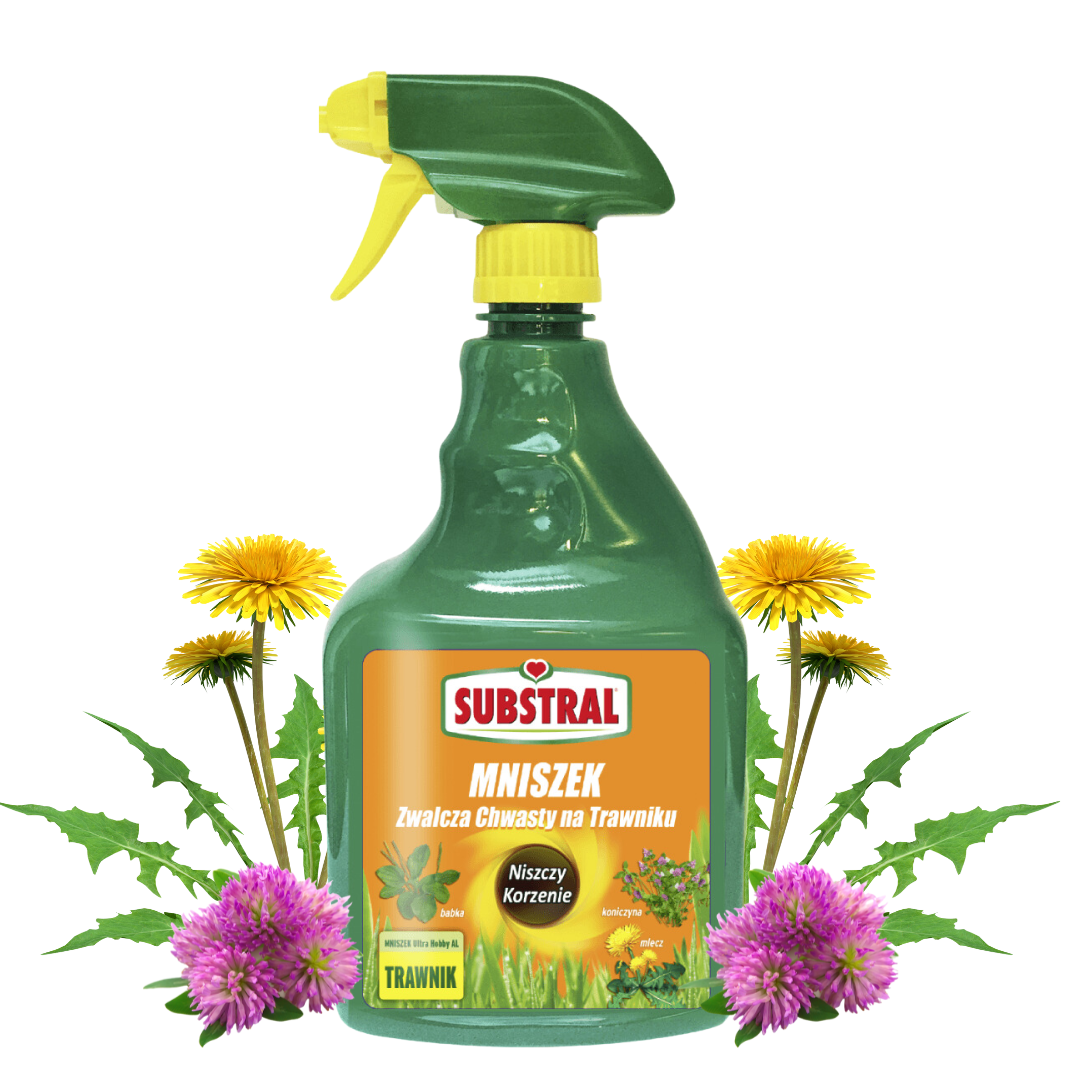 Środek chwastobójczy Substral Mniszek Ultra Hobby 750 ml