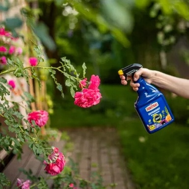 Środek grzybobójczy Substral Saprol 750 ml