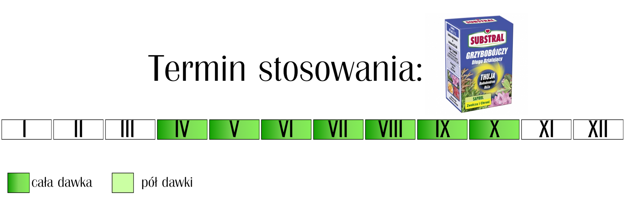 Środek grzybobójczy Substral Saprol długo działający do thuj 100 ml