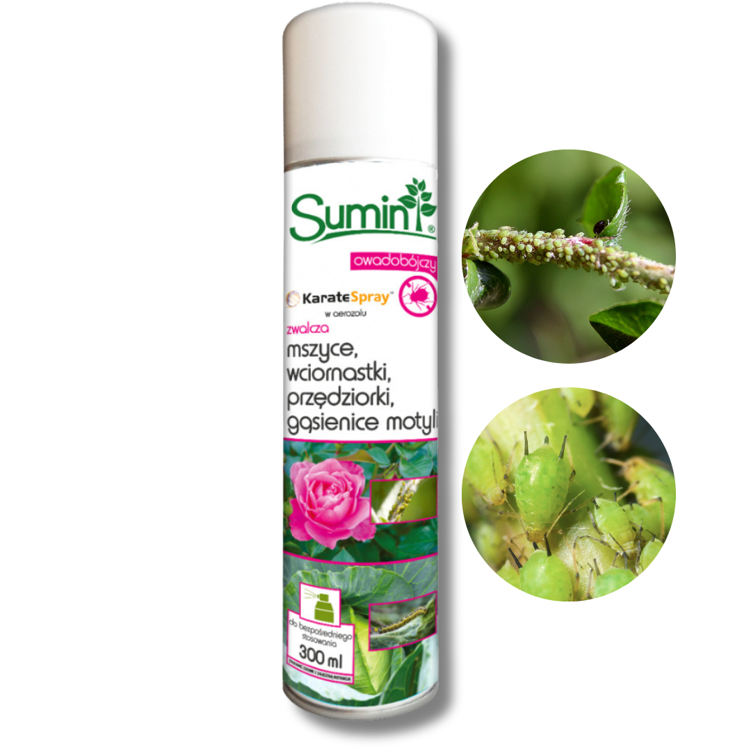 Środek owadobójczy Karate Zeon Sumin 300 ml