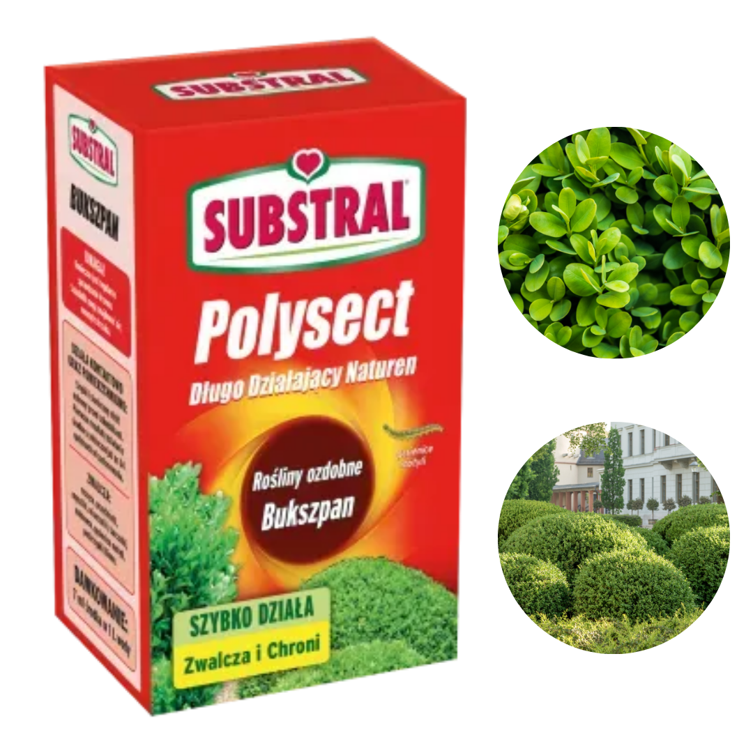 Środek owadobójczy Substral Polysect Naturen Bukszpan na Ćmę Bukszpanową 100 ml