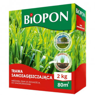 Trawa samozagęszczająca Bopon 2 kg